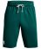 UNDER ARMOUR RIVAL TERRY 1361631-722