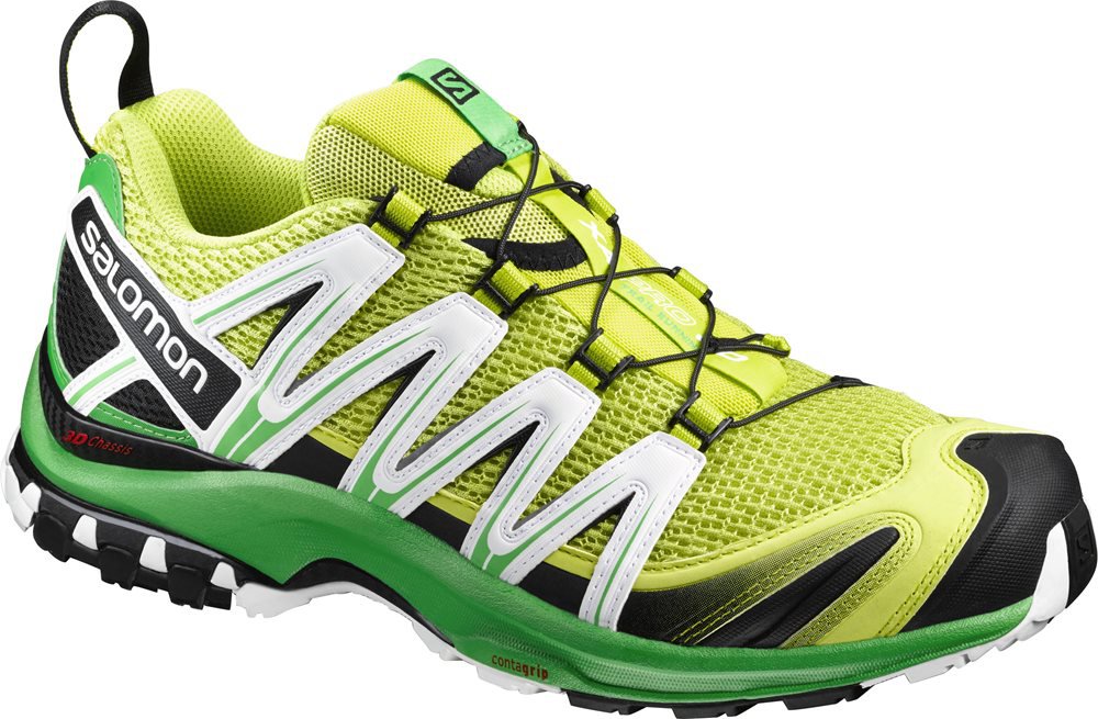 Кроссовки salomon 3. Salomon xa Pro 3d. Кроссовки Salomon xralse.