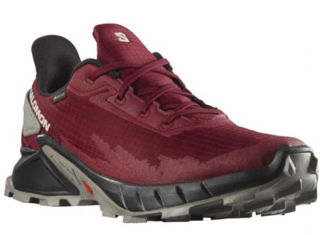 SALOMON L41722800 Alphacross 4 GTX M