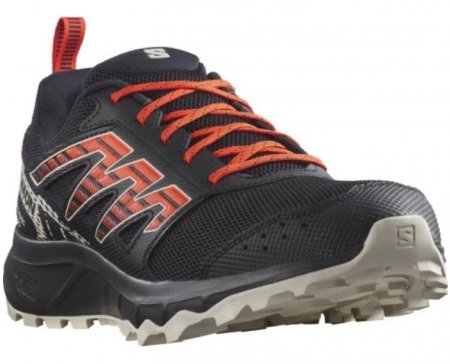 SALOMON L47152600 WANDER