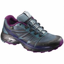 SALOMON L39848000 WINGS PRO 2 GTX W NORTH ATLA/ASTRAL AUR