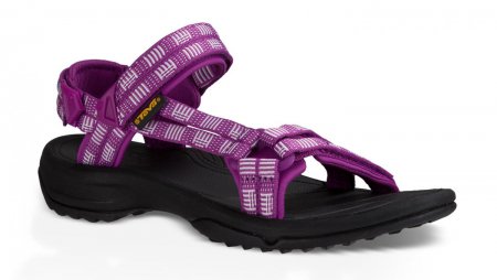 TEVA  Terra Fi Lite 1001474 ABPP